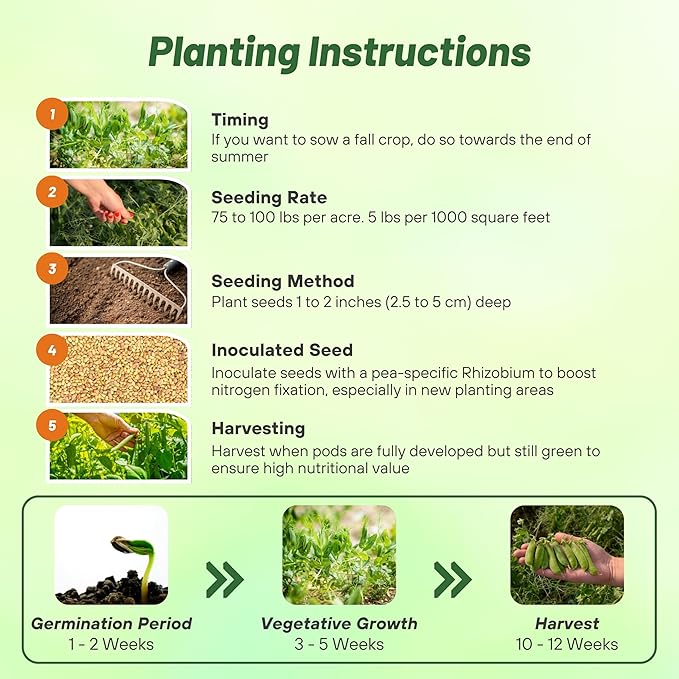 Outsidepride Dundale Spring Field Peas Seeds - 1 lb. Annual, High-Protein Legume & Cover Crop Seeds for Forage, Food Plot, Gardens & Pastures - Ideal for Improving Soil Health, & Erosion Control