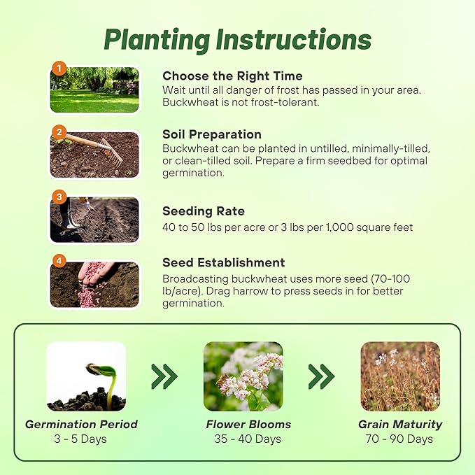 Outsidepride Buckwheat Seeds - 20lbs Annual, Fast-Growing, Easy to Grow Buckwheat Cover Crop Seeds for Green Manure, Bee Pasture & Pollinators, Wildlife Habitat, Soil Improvement, and Erosion Control