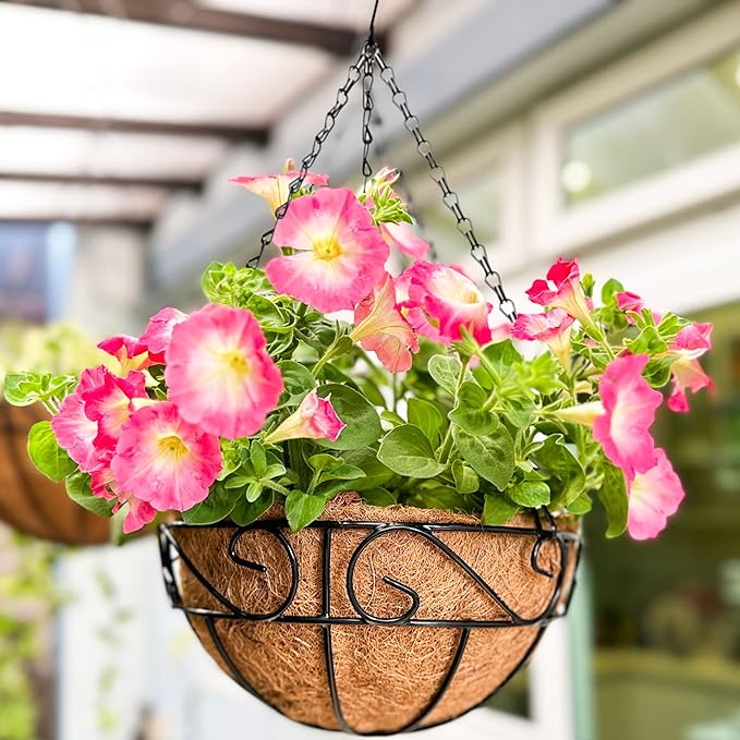 LaLaGreen Hanging Planter for Outdoor Plants (2 Pack, 10 Inch) Hanging Baskets with Coco Liner, Metal Wire Flower Basket Pots with Hook Hanger Balcony Porch Farmhouse Country Style Garden Decor
