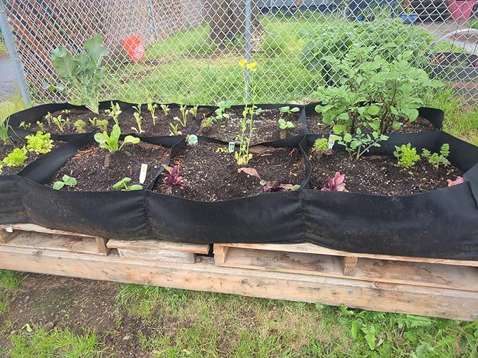 POILKMNI Fabric Raised Garden Bed, 232 Gallon 8 Grids Plant Grow Bags 8x4x1ft Large Garden Grow Bed Bags for Growing Herbs, Flowers and Vegetables