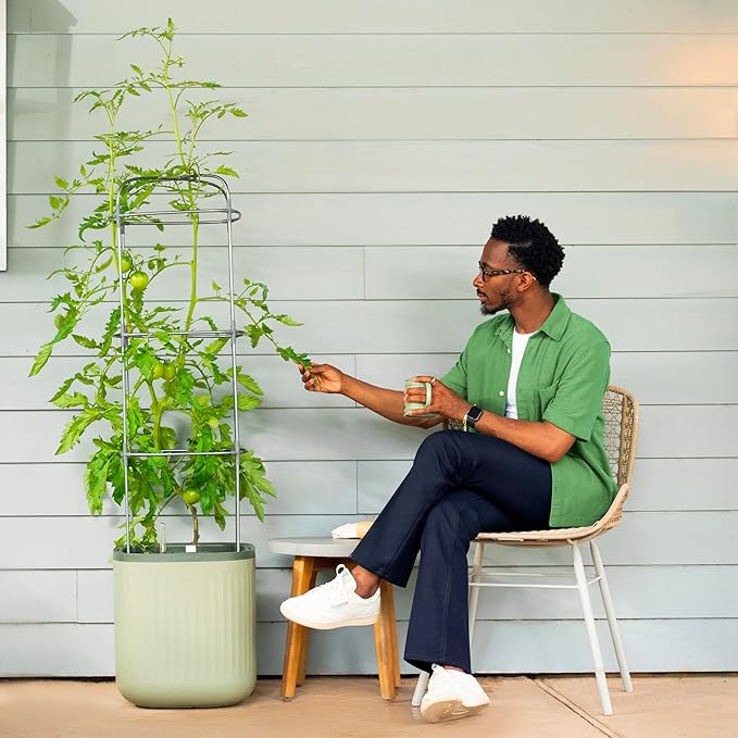 Vego garden Tomato Planter Box with Trellis Self-Watering Rolling Raised Garden Bed for Climbing Vegetables Plants Cage - Sage Green