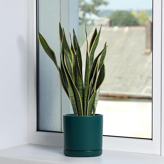 D'vine Dev 6 Inch Ceramic Planter Pot with Drainage Hole and Saucer, Indoor Cylinder Round Planter Pot, Teal, 94-O-C-9