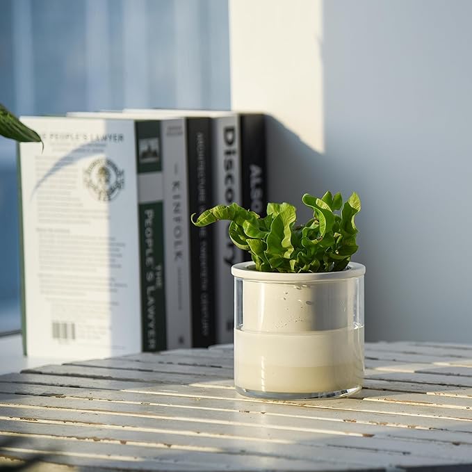 Phoenix Vine 4 Inch Self Watering Planter Pot, Design White Terracotta Pots for Plants, Indoor Cylinder Terra Cotta Pots with Glass Vase, Set of 4, 51-B-E-4