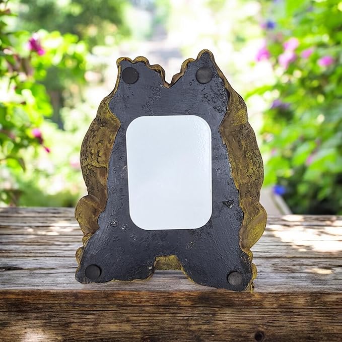 Stocky Frog Decorative Garden Statue and Key Hider - Hides a Secret Extra Hidden Key Outside in Garden, Yard or Porch