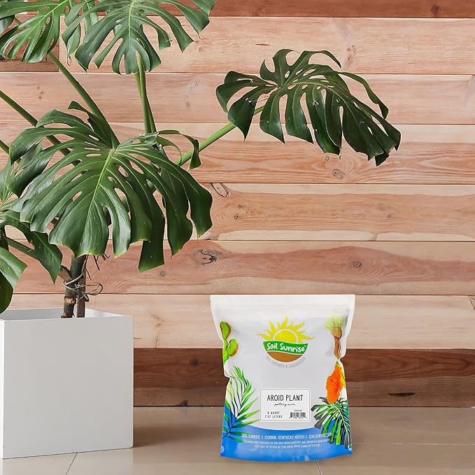Aroid Plant Potting Soil Mix (8 Quarts), for Pothos Devil's Ivy, ZZ Plant, Chinese Evergreen, Dumb Cane, Philodendron, Syngonium, Alocasia, Colocasia Etc.