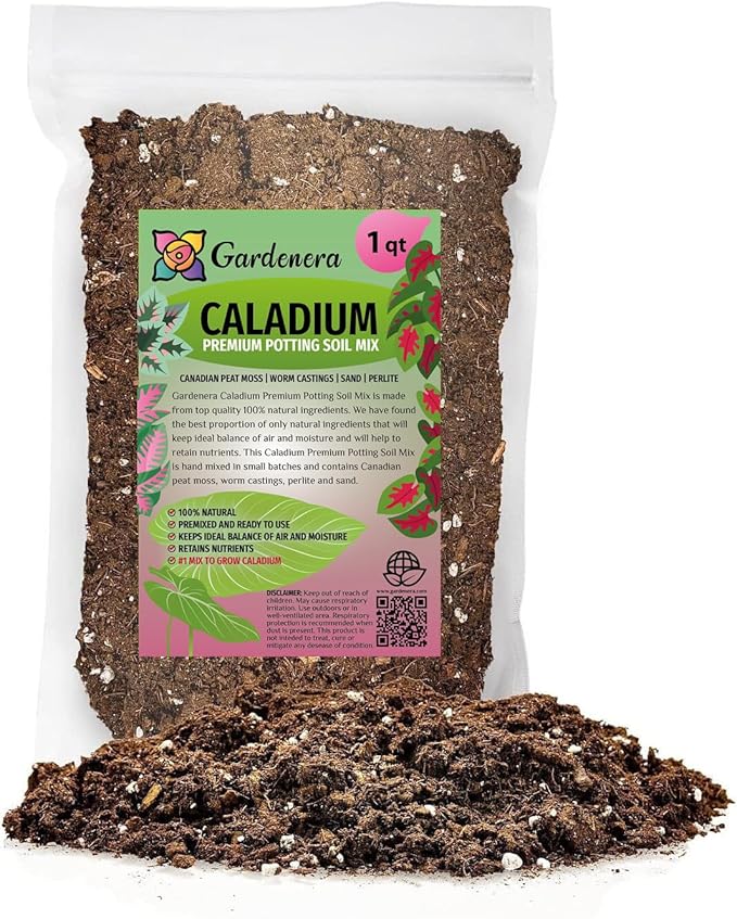 Premium Caladium Plant Potting Mix - Crafted for Vibrant Growth and Striking Color - 1 Quart