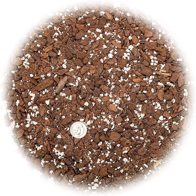 Monstera Dubia Plant Potting Soil - Expertly Crafted for Optimal Nutrient Absorption - 3 Quart