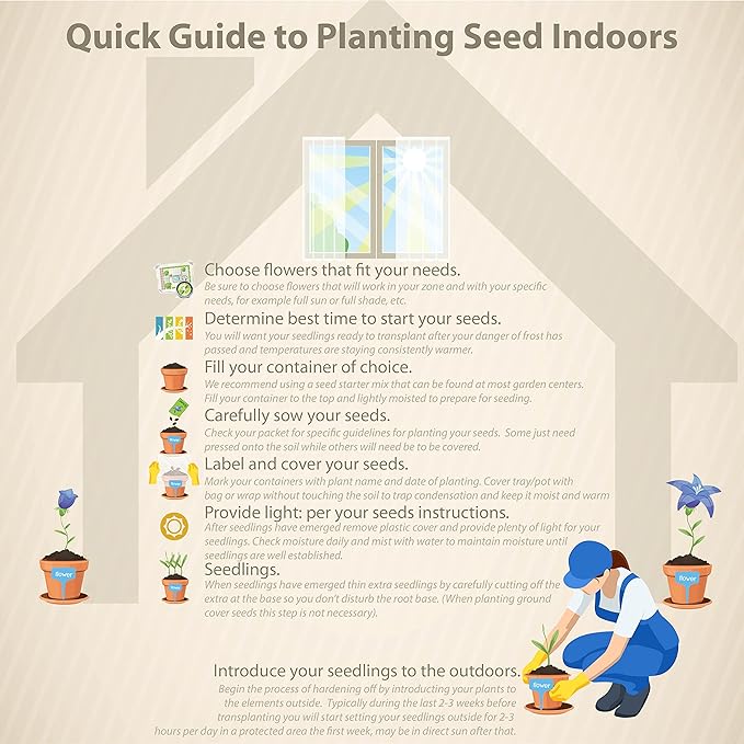 Outsidepride Goldfinger Mexican Sunflower Seeds - 500 Pcs Annual, Easy-to-Grow, Orange Tithonia Speciosa Flower Seeds w/Drought-Tolerant Blooms for Pollinator Gardens & Vibrant Summer Landscaping