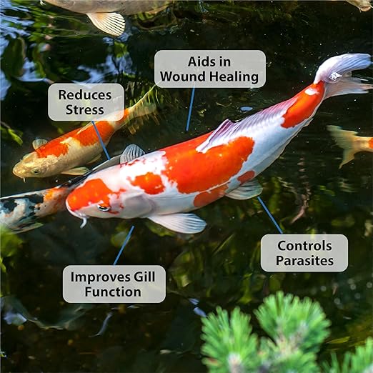 CrystalClear ParaSalt Outdoor Pond & Water Garden Rock Salt Crystals, Anti Fish Parasite, Beneficial Stress Reducing & Slime Coat Treatment, Natural Aquatic Additive, Koi, Plants & Pet Safe, 10 lbs