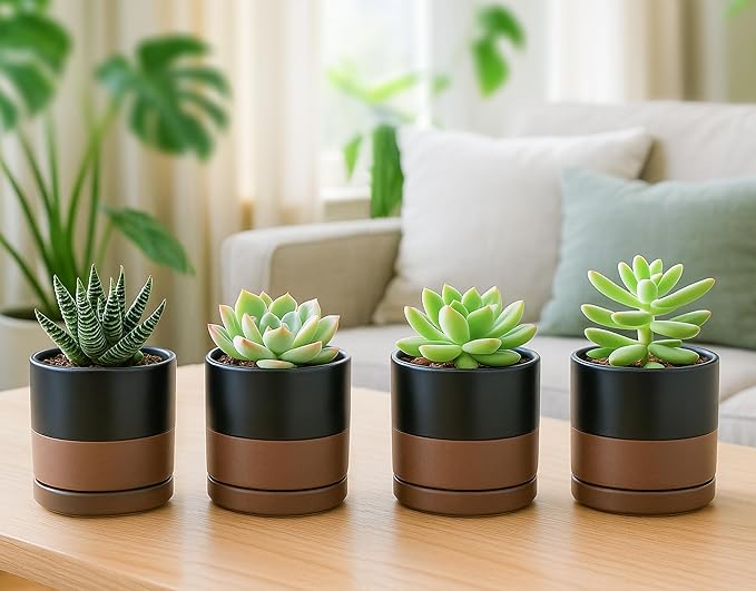 D'vine Dev Set of 4 Small Ceramic Plant Pots, 3.5 Inch Succulent Planter Pot for Plants with Drainage Hole and Saucer, Black/Speckled Tan, 94-X-A-7