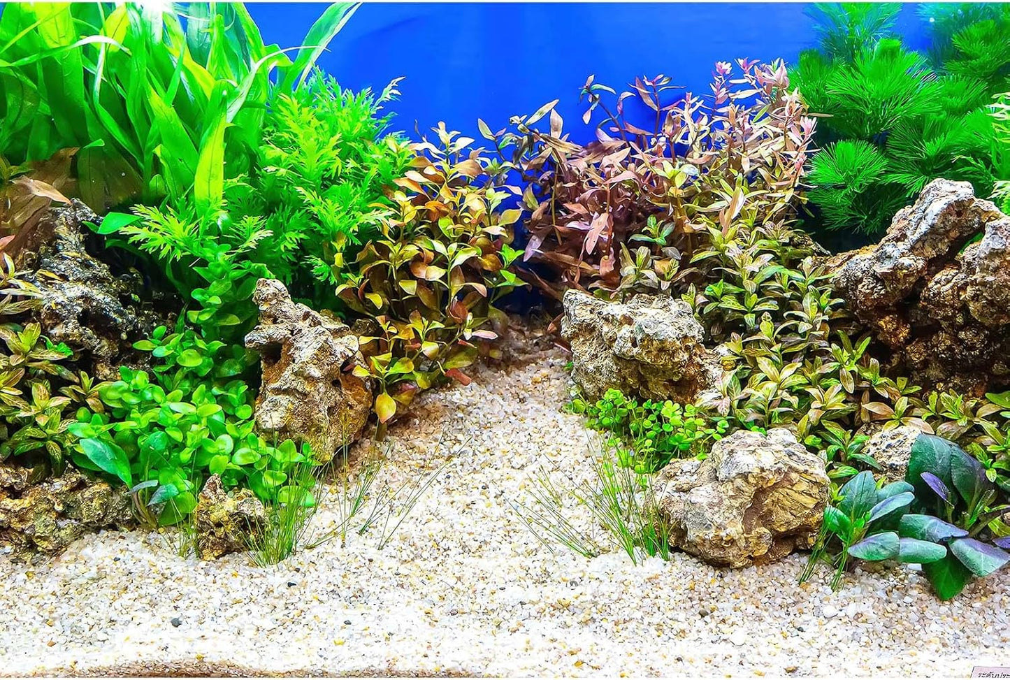 Aquarium Background Underwater Grass Leaves with Pebble Terrarium Background Vivid and Fresh Green Aquatic Plant Stone River Bed and Lake Fish Tank Background Decor Vinyl 48x18in