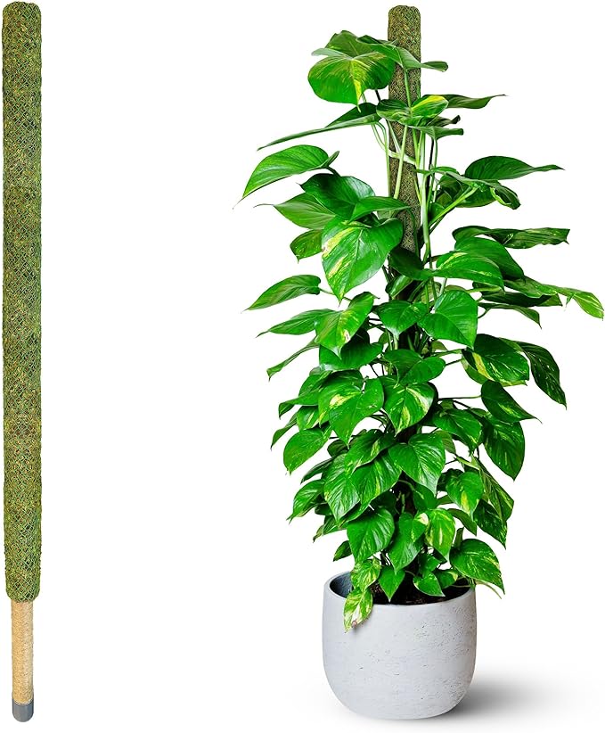 DUSPRO 59’’ Large Green Mesh Moss Pole Monstera Plant Support, Tall Plant Stakes, Moss Pole for Plants Monstera, Garden Pole, Moisture Stick for Plants (1pc., 59''), Natural