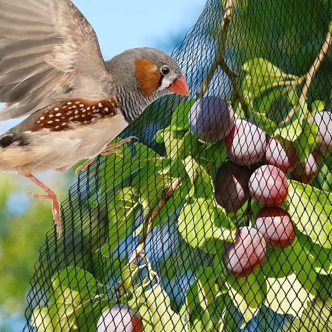 PACETAP Pond Netting Kit 10 x 10 Ft for Leaves, Heavy Duty Koi Pond Cover, Pool Protective Cover Netting with Stakes Protecting Koi Fish from Birds, Cats, Predators