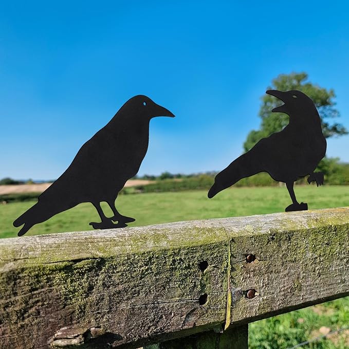 Qmetalart Raven Halloween Decor Outdoor Crow Yard Art Exterior Rustic Metal Black Bird Mini Garden Ornament Fence Topper Gothic Home Decor Outdoor Gate Post Sculpture Witchy Gift