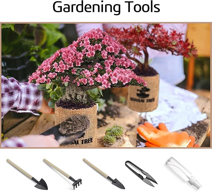 Indoor Bonsai Garden Starter Kit, 5 Seeds Growing into Red Maple, Wisteria, Black Pine, Judas Tree, Acacia, Including Complete Gardening Planters & A Wooden Box, Christmas Gifts for Women