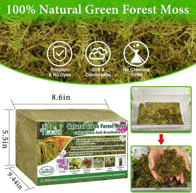 Halatool 4.4LB Green Forest Moss Natural Sphagnum Moss for Plants Fluffy Orchid Moss for Orchids Repotting Dried Plant Moss for Potted Plants Indoor & Outdoor