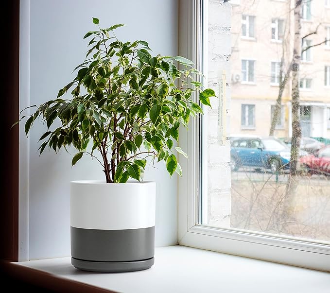 D'vine Dev 8 Inch & 10 Inch Ceramic Planter Pot for Plants with Drainage Hole and Saucer, Large Plant Pots Set, White/Speckled Grey, 94-G-L-6