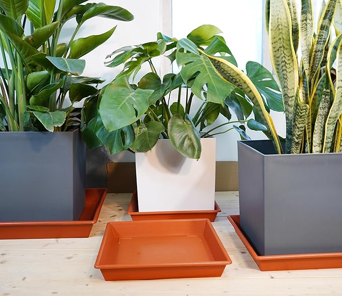 Square Plant Saucer 18 Inch 2 Pack, Large Plant Trays for Pots Heavy Duty Plastic Plant Saucers for Indoors Outdoors, Flower Pot Plant Drip Trays No Holes Terracotta Plant Lover Gardening Gifts