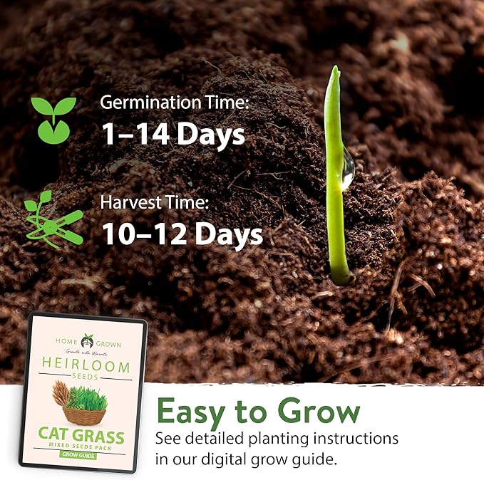 HOME GROWN Cat Grass Seed Mix – Non-GMO Oat, Alfalfa, Rye & Wheat Seeds for Cats | Indoor Pet Grass with Fast Germination | Digestive Aid, Hairball Relief & Safe Chew Alternative
