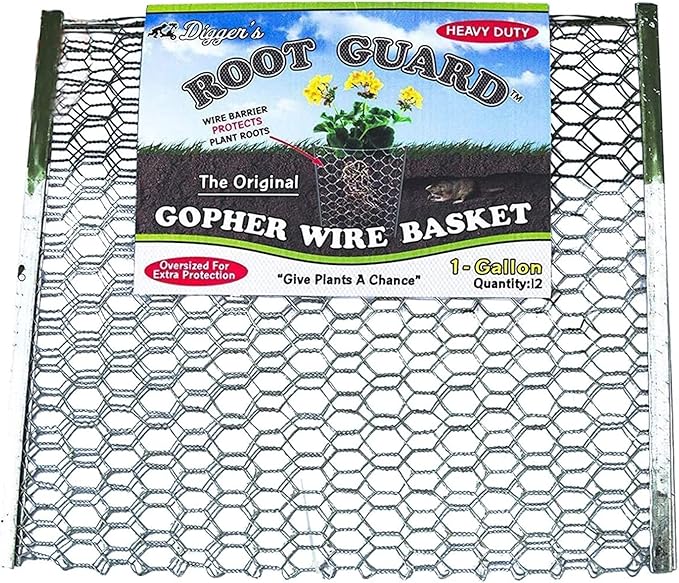 Digger’s 1-Gallon Heavy-Duty Wire Basket - Gopher Wire Basket for Perennials & Vegetables (12 Baskets)