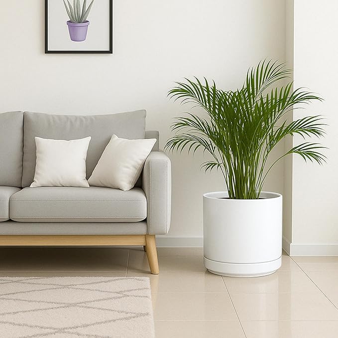 D'vine Dev 14 Inch Ceramic Planter Pot with Drainage Hole and Saucer, Indoor Cylinder Round Planter Pot, White, 94-O-G-1