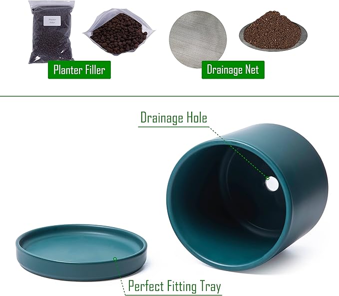 D'vine Dev 6 Inch Ceramic Planter Pot with Drainage Hole and Saucer, Indoor Cylinder Round Planter Pot, Teal, 94-O-C-9