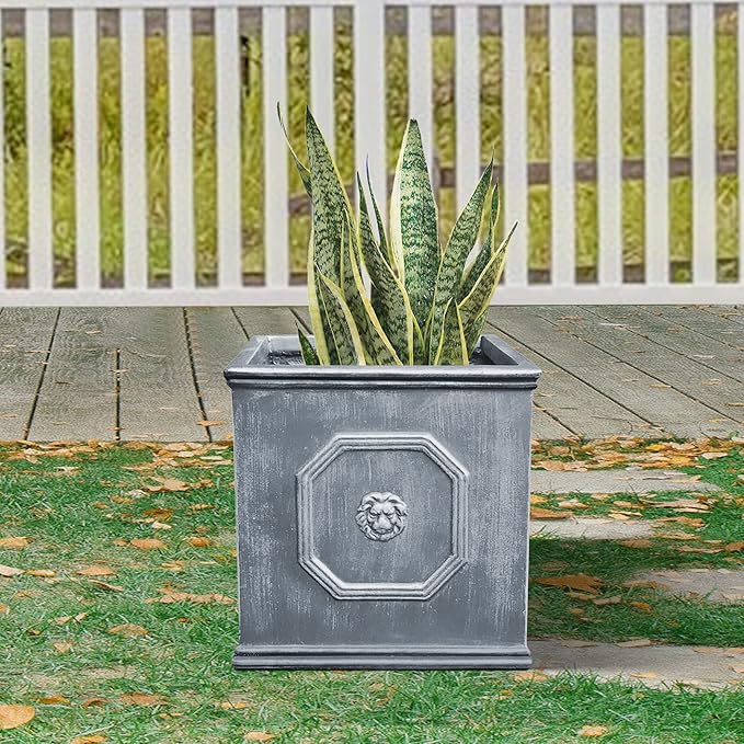 Kante Square Lion Head Concrete Planter, Classic English Style Plant Pot with Drainage Hole and Rubber Plug for Indoor Outdoor Garden Patio Home, 12.6"x12.6"x12.6" Antique Gray