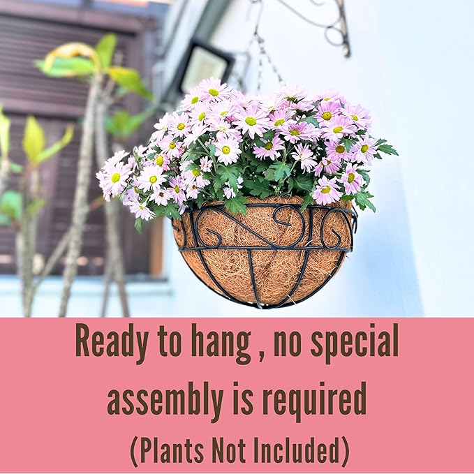 LaLaGreen Hanging Planter for Outdoor Plants (2 Pack, 16 Inch) Hanging Baskets with Coco Liner, Metal Wire Flower Basket Pots with Hook Hanger Balcony Porch Farmhouse Country Style Garden Decor