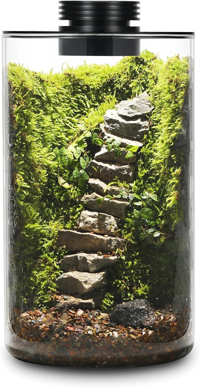 Desktop Glass Plant Terrarium with Grow Light (H:9.8" D:5.9"), for Succulent, Moss, Miniature Gardening Landscape, Betta Fish Tank, Indoor Plant Growth, Office Home Decoration, Plant Lovers Gifts