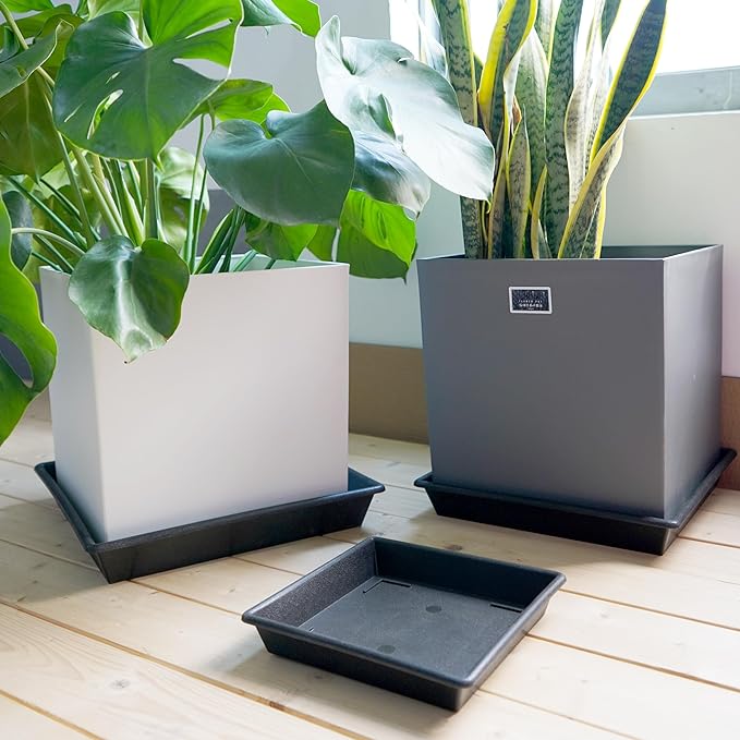 Square Plant Saucer 14 Inch 2 Pack 8 12 14 16 18 20 Plant Trays for Pots Heavy Duty Plastic Plant Saucers for Indoors Outdoors, Flower Pot Plant Drip, Extra Lager No Holes Plant Tray