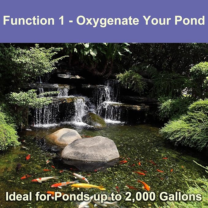 AquaMiracle All-in-One Pond Air Pump Koi Pond Aerator for Pond up to 2000 Gallons Pond Deicer Pond Aeration Kit with 2&4 Outlets Air Stones Airline Tubing Check Valves