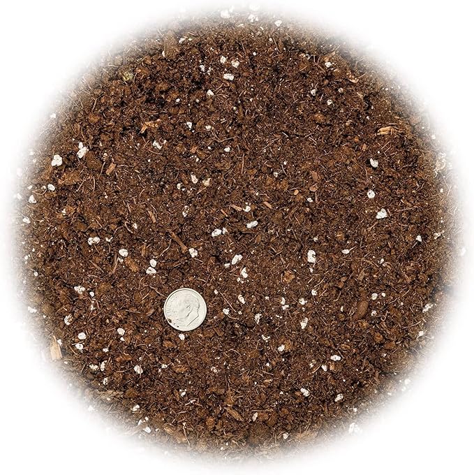 Premium Dracaena Potting Soil Mix - (3 Quart Bag)