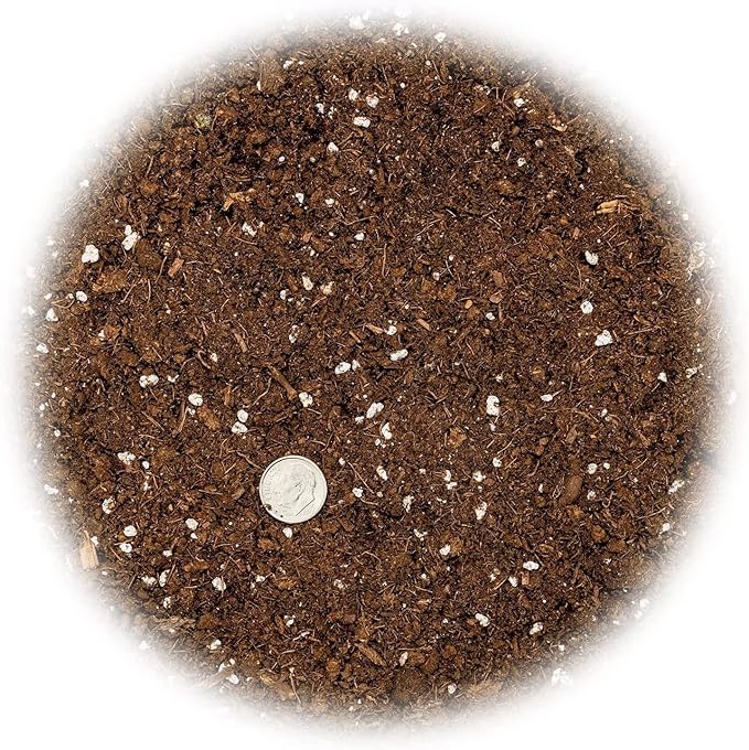 Premium Dracaena Potting Soil Mix - (4 Quart Bag)