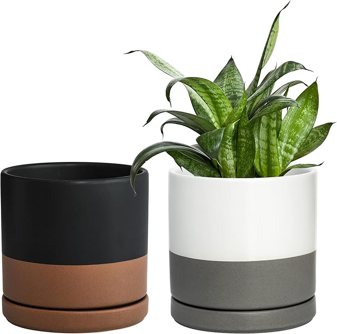 D'vine Dev Set of 2 Plants Pots, 6 Inch Ceramic Planter Pot for Plants with Drainage Hole and Saucer, White-Grey/Black-Tan, 94-V-C-C
