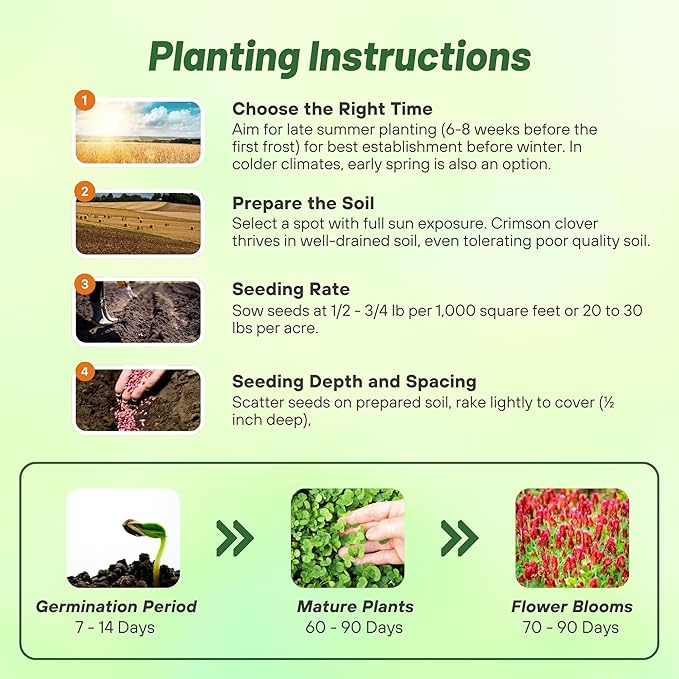 Outsidepride Crimson Clover Seeds - 5 lbs. Annual, Nitrocoated, & Inoculated Ground Cover Seeds, Ideal Clover Seed for Lawn, Cover Crop, Pasture, Hay, Green Manure & Wildlife Forage