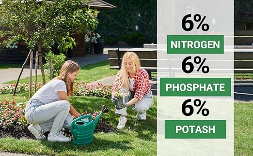 6-6-6 All-Purpose Professional Plant Food Fertilizer; Ideal for Winter Care & Spring Feeding, Perfect Balanced NPK for Indoor and Outdoor Plants (10 QUARTS)