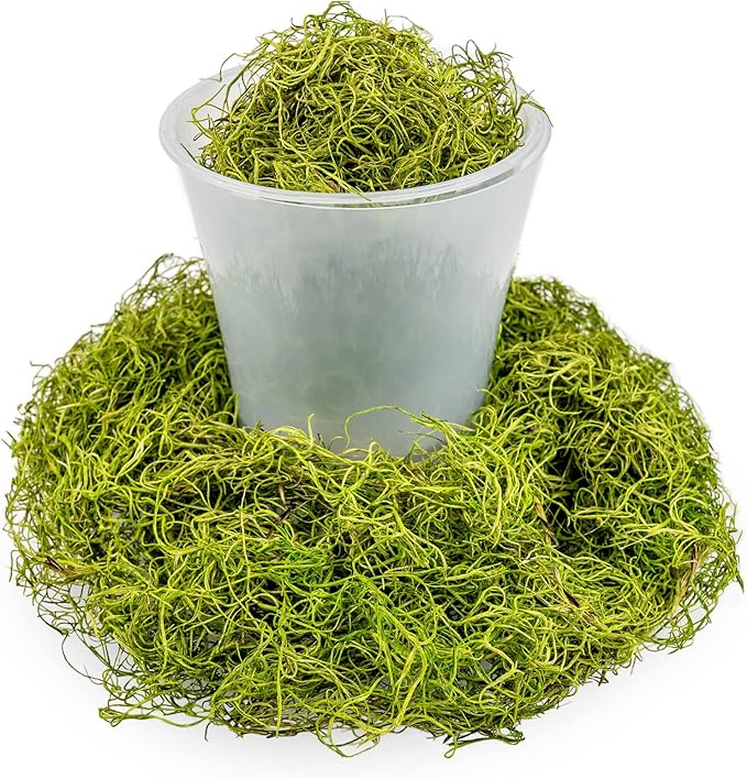 Premium Spanish Moss in Spring Green| Natural Preserved - Great Ground Cover - Filler for Potted Plants - by GARDENERA - 1 Quart Bag
