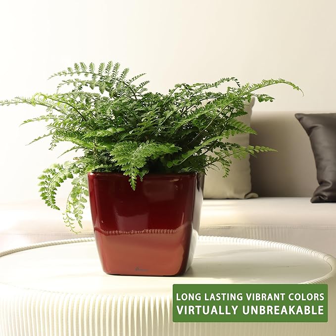 Dexceder 11x10 Self Watering Planter Indoor Outdoor, Inner Mat Design, Thickened Table Flower Plant Pot with Water Level Indicator (Red High Gloss)