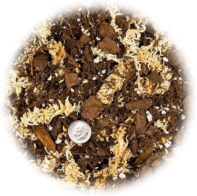 Premium Orchid Mix by GARDENERA | Fern + New Zealand Pine Bark + Sphagnum Moss + Perlite | Best for Growing and Repotting Orchids - 4 Quart Bag