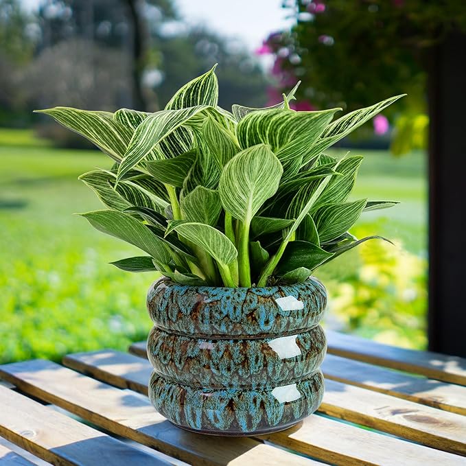 Ceramic 6 inch Plant Pot - Planter for Indoor Plants with Drainage Hole, Flower Pots for Orchid, Succulent,Outdoor Plants, Modern Glaze Planters for Home Office Decor Gift