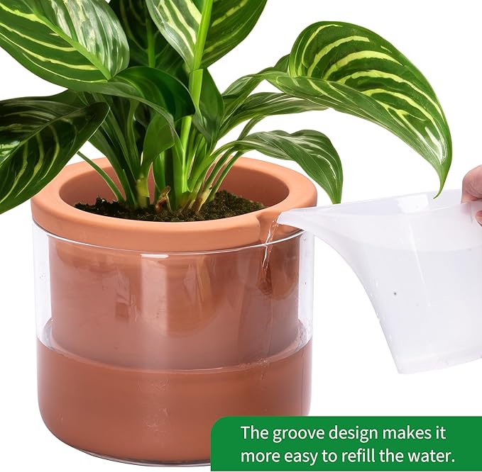 Phoenix Vine 8 Inch Self Watering Planter Pots, Design White Terracotta Pots for Plants, Indoor Cylinder Terra Cotta Pots with Glass Vase, Set of 1, 51-A-H-1