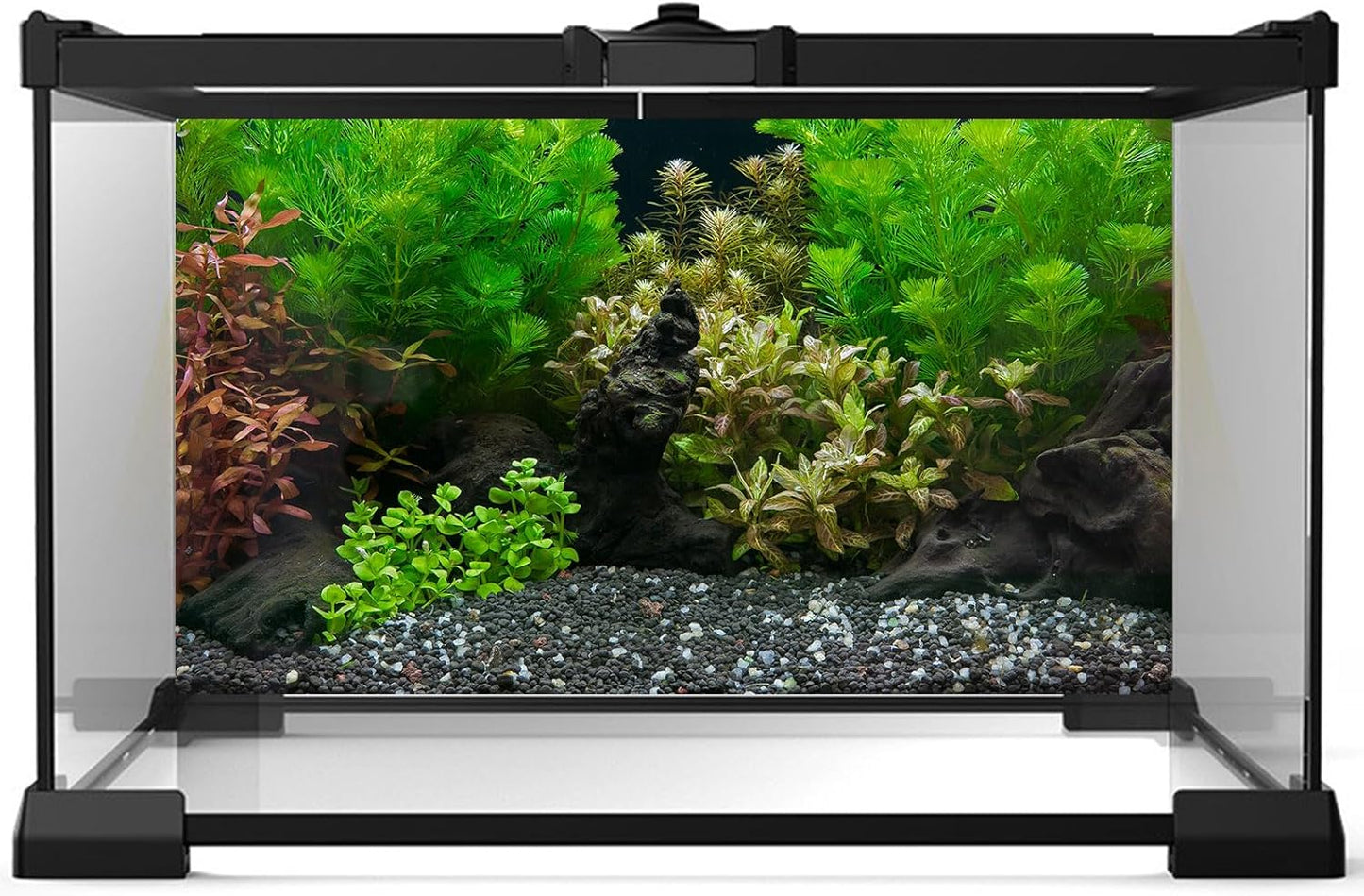 Aquarium Background Exquisite Underwater Grass Leaves with Pebbles Aquarium Backdrop Vivid Green Aquatic Plant Stone with Dead Woods and Fresh Leaves Fish Tank Wallpaper 48x18in