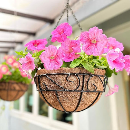 LaLaGreen Hanging Planter for Outdoor Plants (6 Pack, 10 Inch) Hanging Baskets with Coco Liner, Metal Wire Flower Basket Pots with Hook Hanger Balcony Porch Farmhouse Country Style Garden Decor