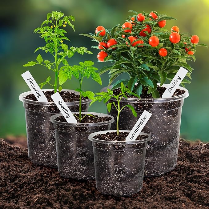 Bonviee Clear Nursery Pots for Plants, 6.7/5/4/3.5 Inch Reinforced Clear Nursery Pots with Drainage Hole, 36 Packs Transparent Plastic Plant Pot Seedling Planter Seed Starter Flower