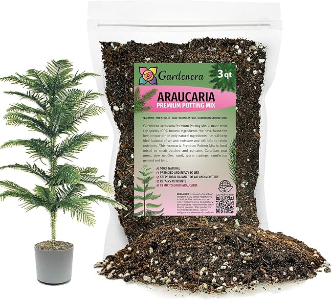 Premium Araucaria Potting Soil Mix - Perfect Balance of Nutrients, Drainage, and Aeration for Healthy Araucaria Trees - 3 Quart