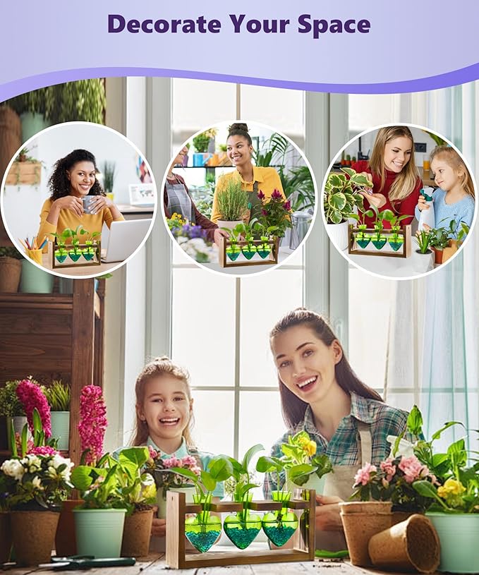 Nacome Plant Terrarium for Office Decor: Birthday Gifts for Plant Lovers Women Mom Wife - Wooden Stand Tabletop Planter 3 Bulb Glass Vase Heart Shaped for Hydroponics Indoor Home(Green)