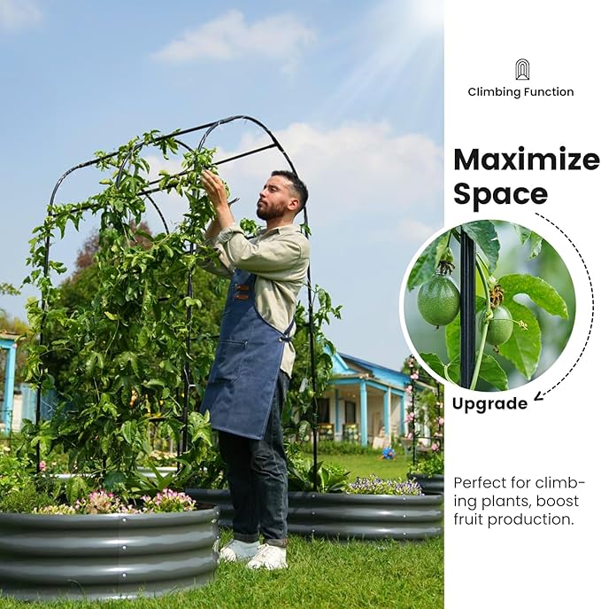 KING BIRD Raised Garden Bed with Arched Trellis Galvanized Planter Garden Box Outdoor for Gardening, Climbing Vegetables, Flowers 5.9x2.95x0.98 Ft 2PCS, Dark Grey