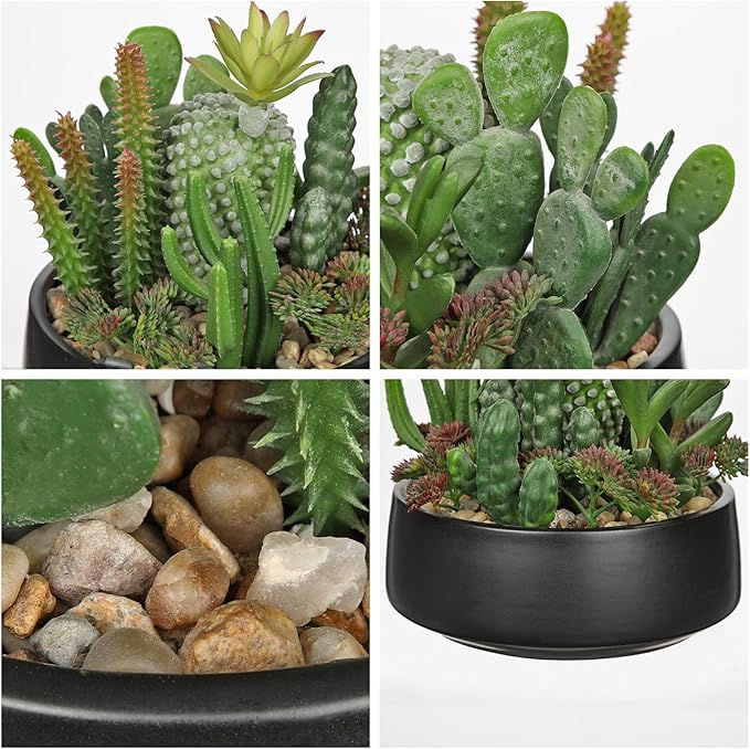 DILATATA Artificial Cactus Plants in Pot 5.5 Inch Fake Succulents Arrangement Potted Plant in Black Ceramic Planter Bowl for Home Office Desk Shelf Living Room Bedroom Bathroom Decor