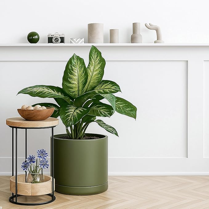 D'vine Dev 12 Inch Ceramic Planter Pot with Drainage Hole and Saucer, Indoor Cylinder Round Planter Pot, Olive, 94-O-F-J