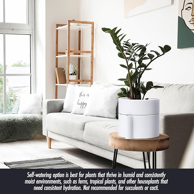 Phoenix Vine 8 Inch Self-Watering Planter Pot with Terracotta Insert, Deep Water Reservoir, and Ceramic-Alike BPA-Free Plastic Planter Pot for Plant, Modern Planter for Houseplants, White, 53-A-T-1